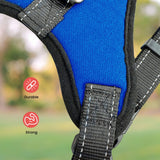 FLOOFI Dog Harness L Size (Blue)